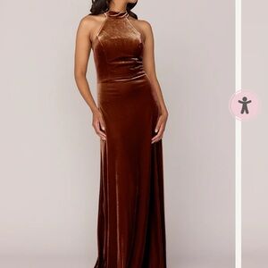 Revelry Rust Velvet Dress